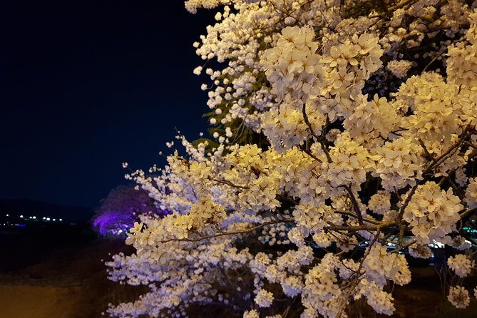 2 Days Gyeongju Private Tour from Seoul and Near Seoul - Exploring Gyeongju: A 2-Day Journey Through Korea’s Past