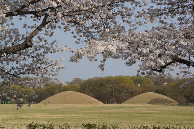 2 Days Gyeongju Private Tour from Seoul and Near Seoul - The Sum Up