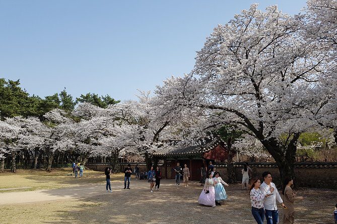 2 Days Gyeongju Private Tour from Seoul and Near Seoul - FAQ