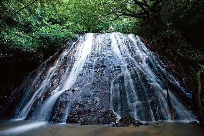 2 Days Koshiki Island Hotel and Ferry Package - Who Will Love This Tour?