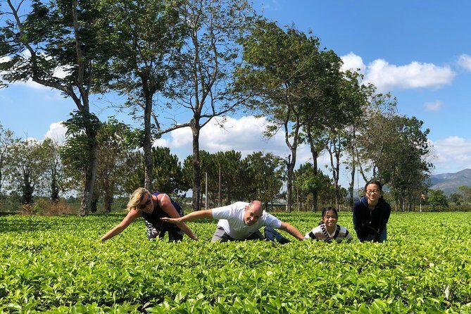 2 Days Motorbike Tour From Mui Ne To Da Lat Or Vice Versa - Final Thoughts