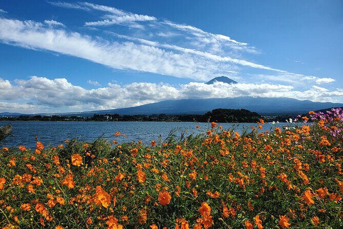 2 Days Mount Fuji and Hakone Private Tour from Tokyo Customizable - FAQs