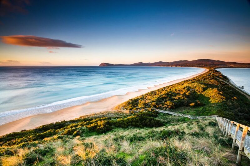 2 Days of Tasmania's Best - What Makes This Tour Stand Out?