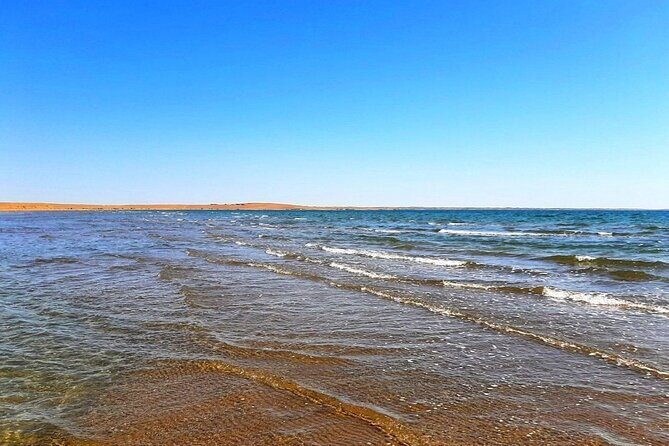 2 Days of Tour in Yurt Camp and Aydarkul - Key Points