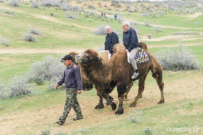 2 Days of Tour in Yurt Camp and Aydarkul - FAQ