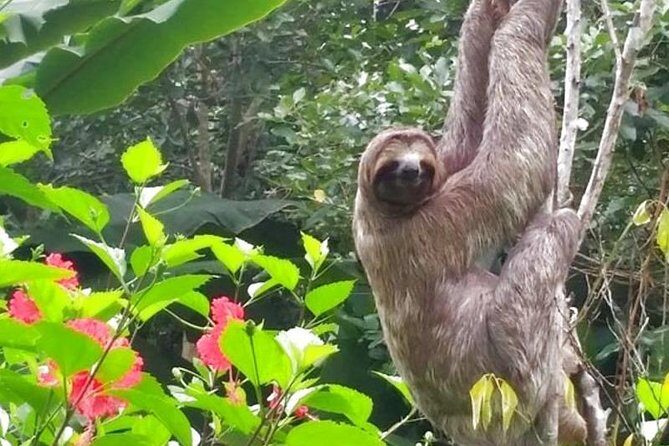 2 days Peruvian Amazon Tour from Iquitos - Who Will Love This Tour?