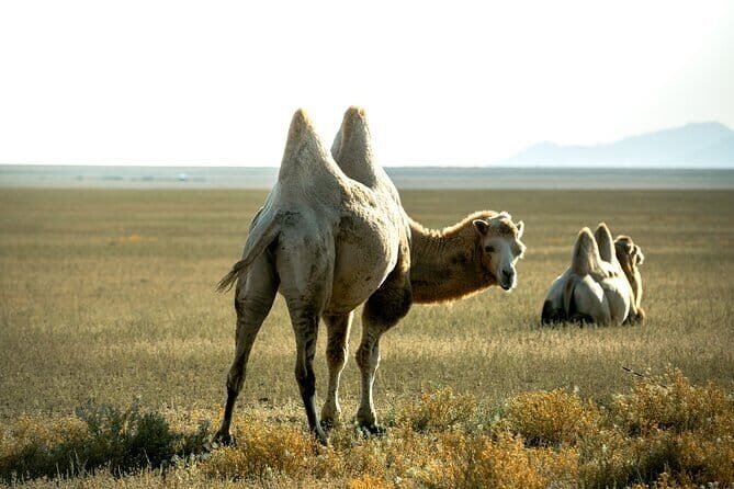 2 Days Private Kolsai Kaindy Lakes with Charyn Canyon Tour - FAQ