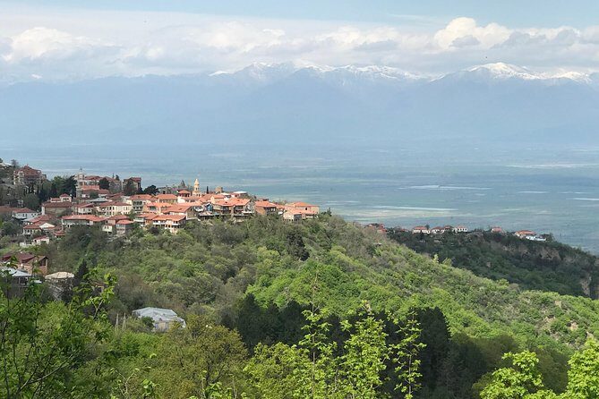 2 Days Private Organic Wine Tour to Kakheti Region via Rustavi and David Gareja - FAQ