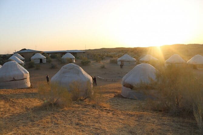 2 Days Private Safari Tour from Bukhara - Key Points