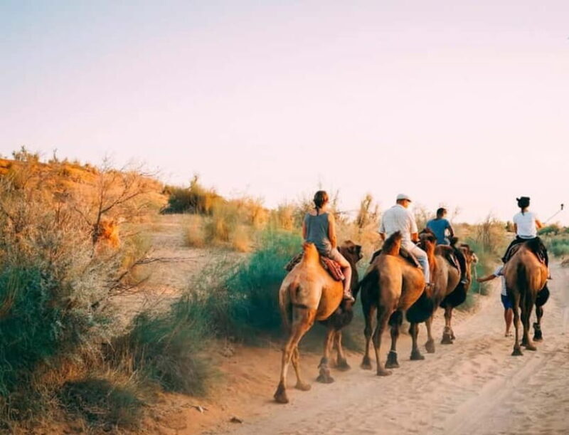 2 Days Private Safari Tour from Bukhara - A Detailed Look at the 2-Day Uzbek Desert Safari