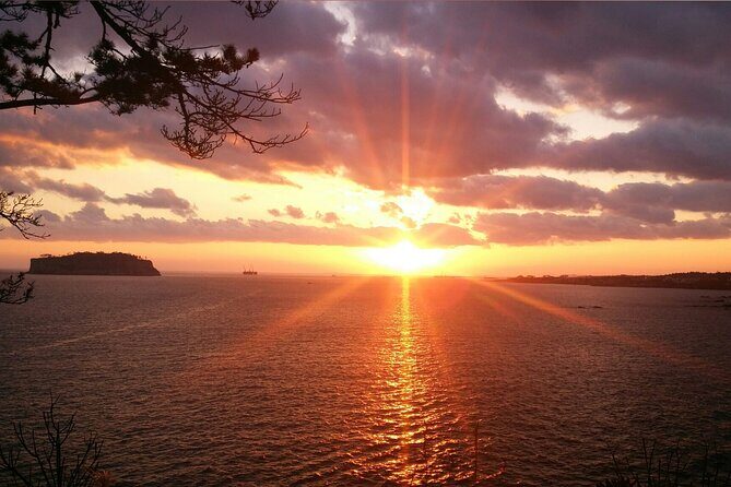 2 Days Private Taxi Tour - West and South of Jeju Island - An In-Depth Look at the 2-Day Jeju Private Taxi Tour