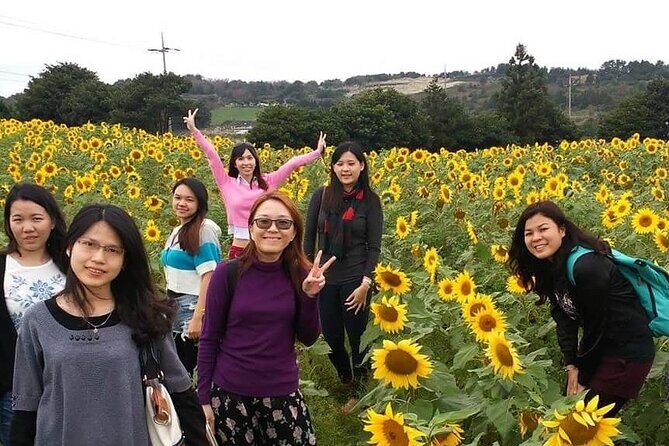 2 Days Private Taxi Tour - West and South of Jeju Island - What Travelers Say