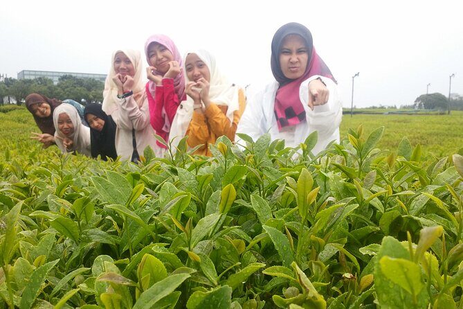 2 Days Private Taxi Tour - West and South of Jeju Island - FAQs