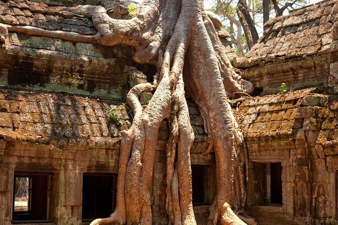 2-Days Private Tour Explore Angkor Wat Sunise & Woman Temple Banteay Srey - Who Is This Tour For?