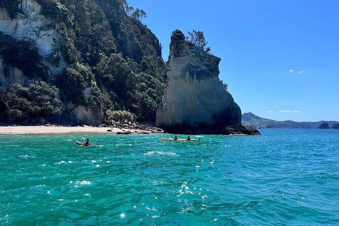 2 Days Private Tour in Coromandel Peninsula from Hamilton - A Closer Look at the Coromandel Peninsula Private Tour