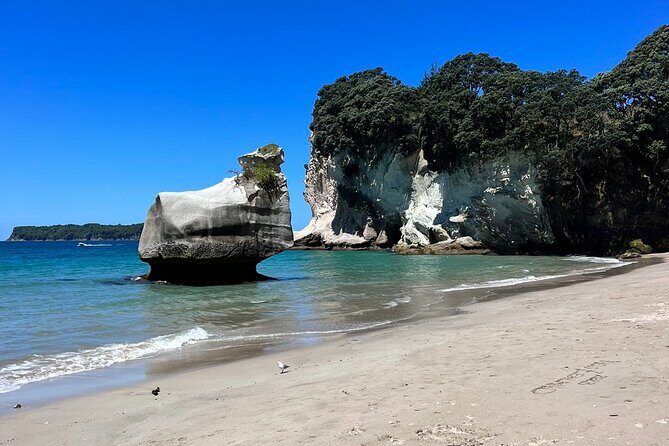2 Days Private Tour in Coromandel Peninsula from Hamilton - Who Should Consider This Tour