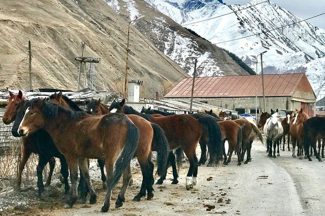 2 Days Private Tour to Kazbegi and Juta Village with Trekking - A Deep Dive Into the Experience