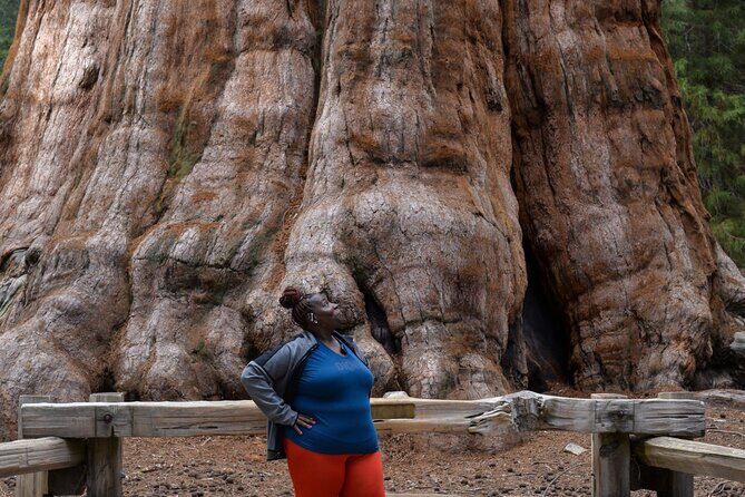 2 Days Private Tour to Sequoia and Kings Canyon Parks from LA - Discover the Majesty of Sequoia and Kings Canyon in Two Days