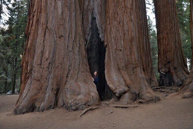 2 Days Private Tour to Sequoia and Kings Canyon Parks from LA - FAQs