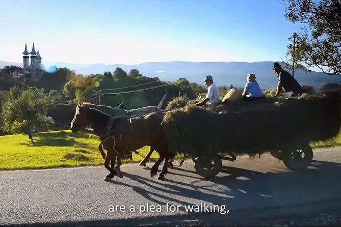 2 Days Private Tour Transfagarasan Road & Sibiu from Bucharest - What Makes This Tour Stand Out?