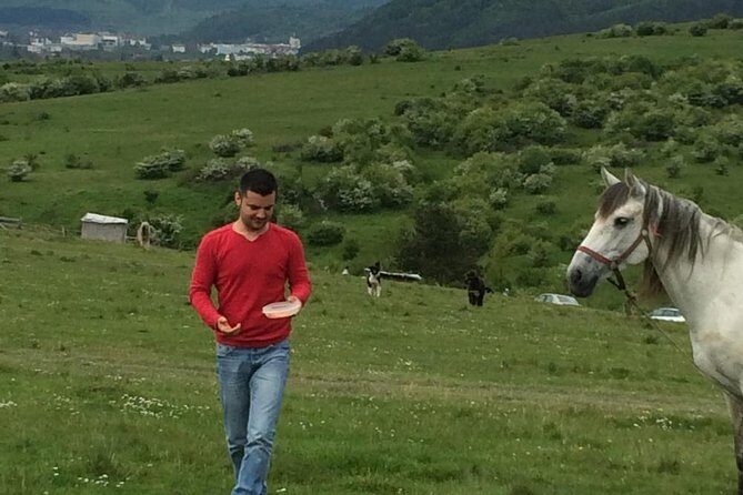 2 Days Private Tour Transfagarasan Road & Sibiu from Bucharest - FAQ