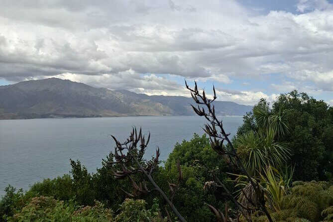 2 Days Queenstown Wanaka Private Tours from Dunedin - The Sum Up: Is This Tour Right for You?