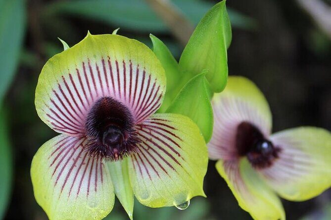 2 Days Sacred Valley and Machu Picchu Experience - Frequently Asked Questions