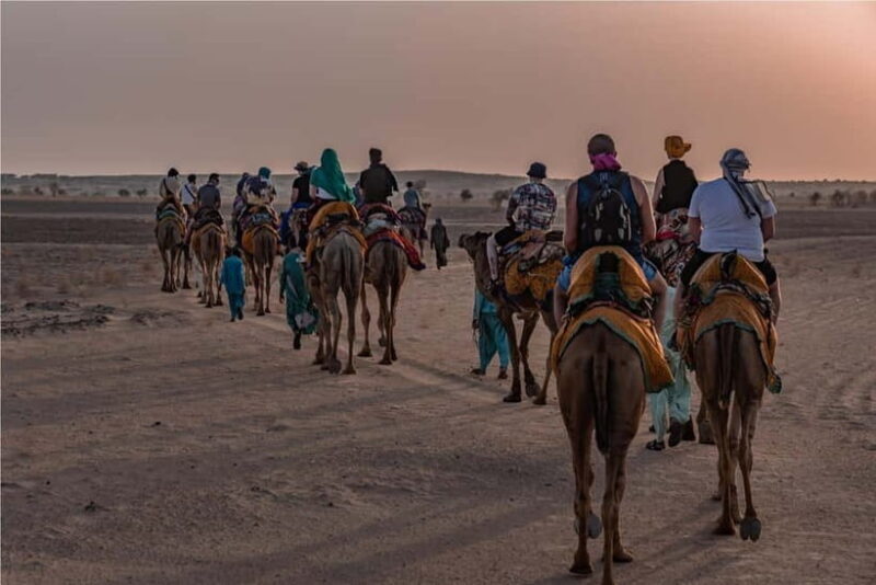 2 Days Sharing Group Non Touristic Camel & Desert Safari - Who Is This Tour Best For?