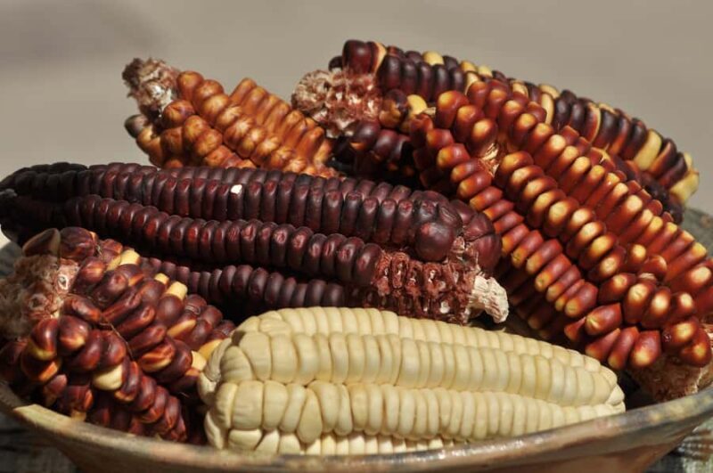 2 Days - Short Inca Trail to MachuPicchu - Final Thoughts