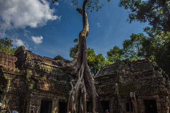 2 Days Siem Reap Angkor Wat Tour-Small Group - The Experience: What You Can Expect