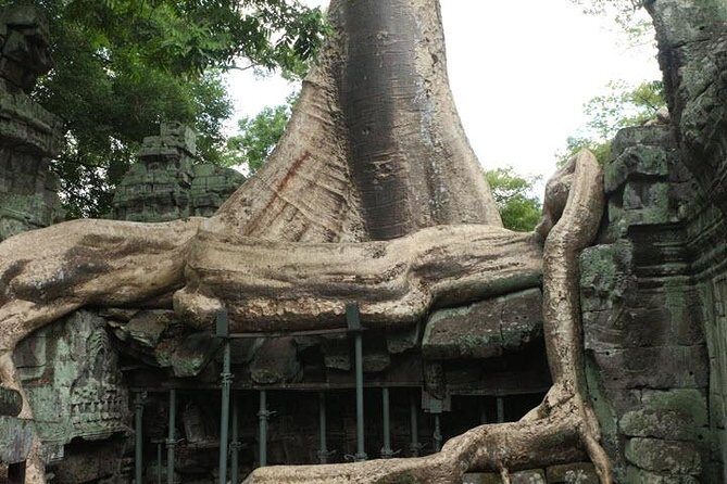 2 Days Siem Reap Angkor Wat Tour-Small Group - FAQ — Practical Questions About the Tour