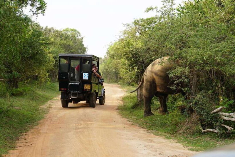 2 days Sri Lanka: All-inclusive tour to Ella and Yala with 4-star hotel - Practicalities and Value