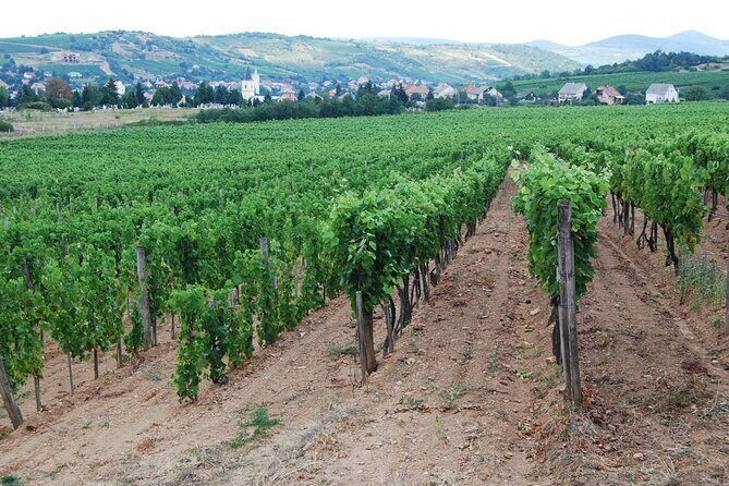 2 Days Tokaj Wine Tour in Mád Hungary with Meals - FAQ