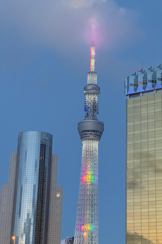 2 Days Tokyo & Mt Fuji Customizable tour with English Driver - Key Points