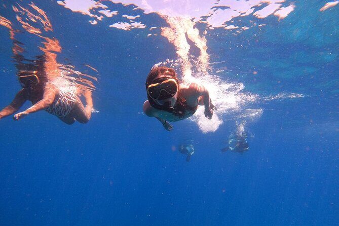 2 Days Tour to explore Labuan Bajo and Komodo Island - An In-Depth Look at the 2-Day Labuan Bajo and Komodo Tour