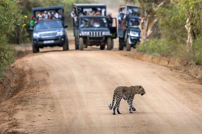 2 Days Tour to Galle & Udawalawe National Park - Exploring the Heritage of Galle Fort