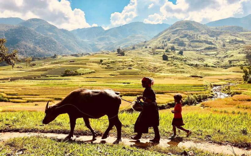 2 Days Trekking and Motorbike Tour in Mu Cang Chai - 2 Days Trekking and Motorbike Tour in Mu Cang Chai