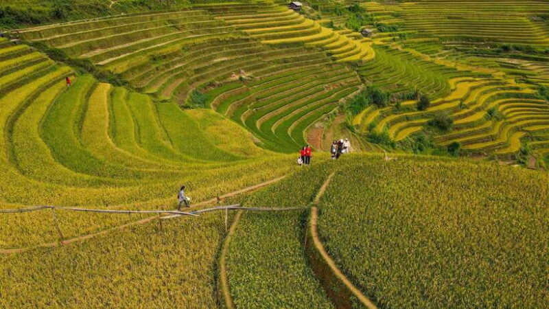 2 Days Trekking and Motorbike Tour in Mu Cang Chai - Final Thoughts