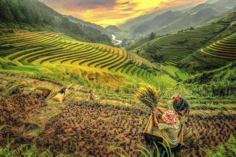 2 Days Trekking and Motorbike Tour in Mu Cang Chai - FAQs