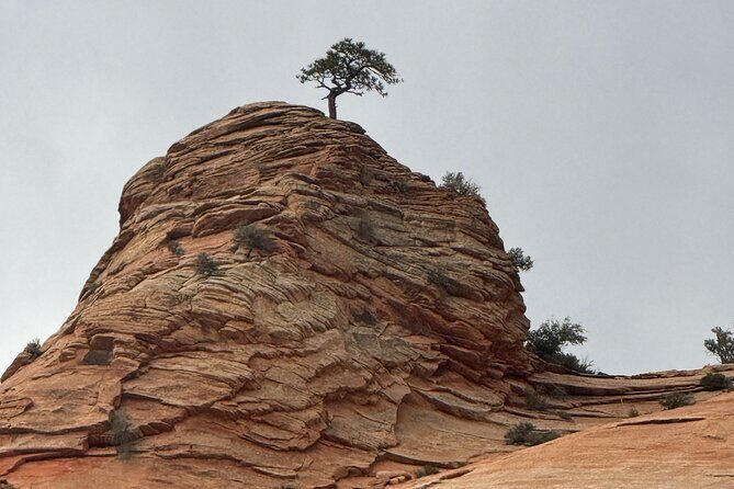 2 DAYS: Zion, Bryce, Grand Canyon, Antelope, & Horseshoe from LV - Authentic Traveler Insights