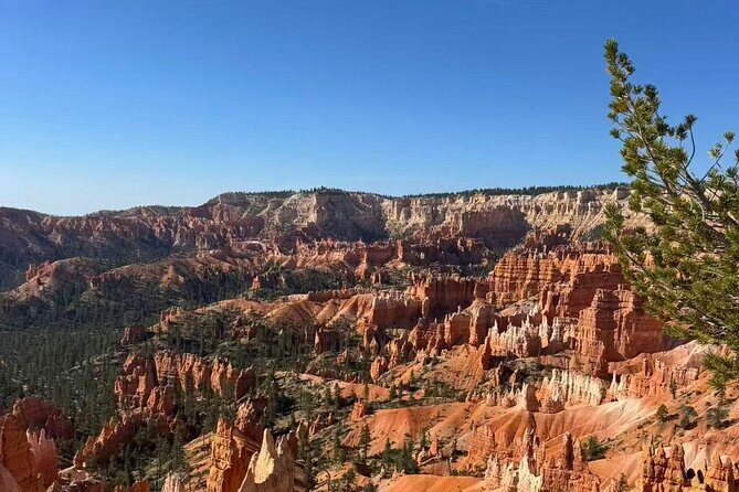 2 DAYS: Zion, Bryce, Grand Canyon, Antelope, & Horseshoe from LV - Final Thoughts: Is This Tour for You?