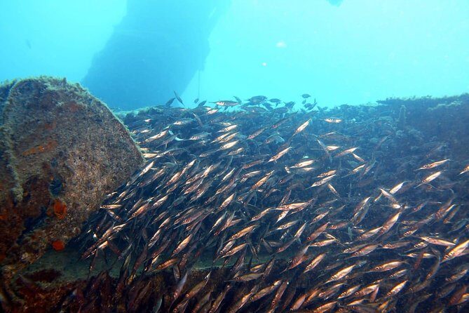 2 Dive Package for PADI Qualified Divers in Gran Canaria - Why This Tour Offers Great Value