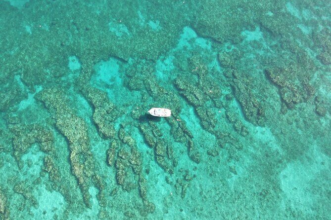 2 Dive Scuba Diving Reef Excursion to Key Largo Marine Sanctuary - The Gear and Comforts