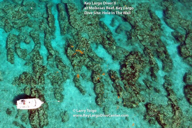 2 Dive Scuba Diving Reef Excursion to Key Largo Marine Sanctuary - Authentic Diver Perspectives