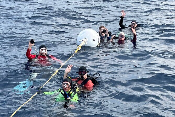 2 Dive Scuba Diving Reef Excursion to Key Largo Marine Sanctuary - Who Should Consider This Tour?