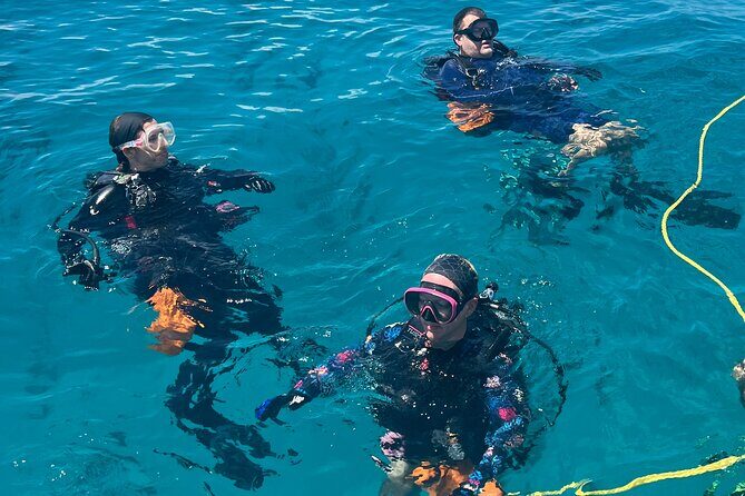 2 Dive Scuba Diving Reef Excursion to Key Largo Marine Sanctuary - FAQ