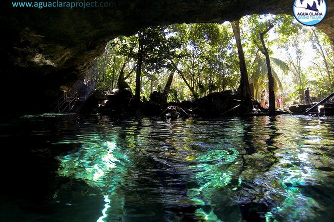 2 dives in Cenote Dos ojos Certified Divers - The Sum Up