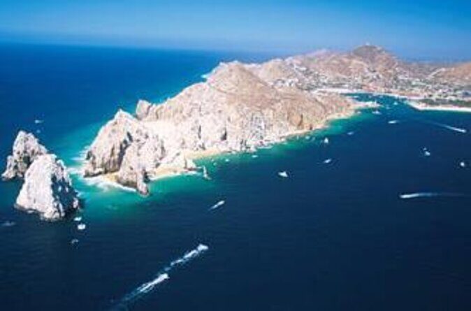 2 Dives in the Cabo Marine Park - Exploring the Underwater Wonders of Cabo San Lucas Marine Park with Dive Ninja