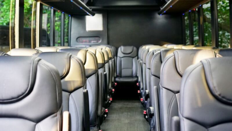 2 For 1! DC Highlights & Arlington Cemetery Tour Bundle - An In-Depth Look at the Tour Experience