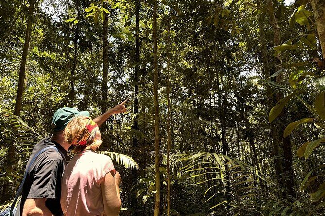 2 Full Days Exploring The Ecuadorian Amazon | Tour Start In Quito - A Detailed Look at the Itinerary